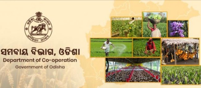 ବାଜିଲା ସମବାୟ ନିର୍ବାଚନ ବିଗୁଲ ୧୦ସମିତି ନିର୍ବାଚନ ପାଇଁ ନିଯୁକ୍ତି ହେଲେ ୫ଅଧିକାରୀ