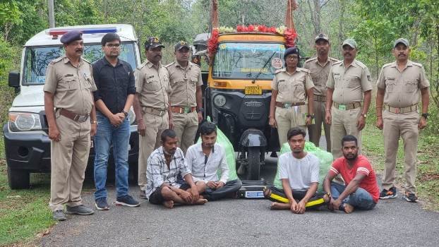 ୮୧ କିଲୋ ଗଂଜେଇ ସହ ୪ ଗିରଫ ଅଟୋ ଜବତ