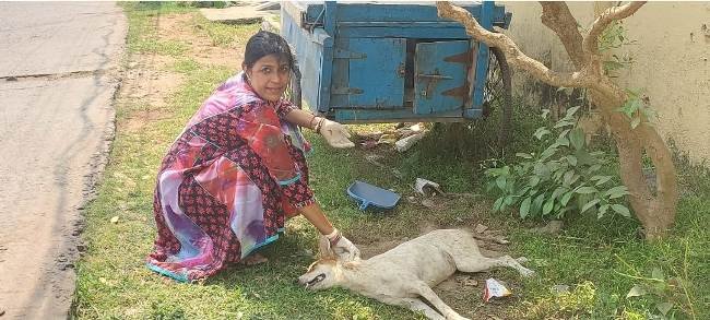 ଡାକ୍ତର ଦମ୍ପତିଙ୍କ ପଶୁପ୍ରେମ : ବୁଲା କୁକୁରର ସେବା କରି ପ୍ରଶଂସିତ