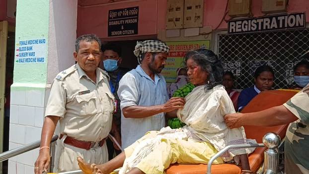 ଦନ୍ତା ଆକ୍ରମଣରେ ଅଳ୍ପକେ ବର୍ତିଲେ ମହିଳା