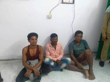 ୫୦ ଖଣ୍ଡ ପିଆଶାଳ କାଠ ଜବତ : ୩ ଜଣଙ୍କୁ ଗିରଫ କଲା ମୋହନା ବନ ବିଭାଗ 