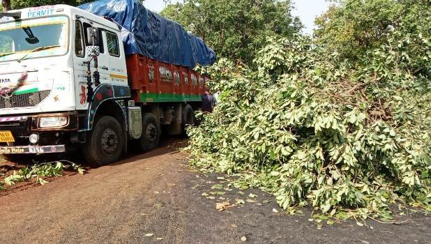 କାଳବୈଶାଖୀରେ ଅନେକ ସ୍ଥାନରେ ଗଛ ଭାଙ୍ଗିବାସହ ବିଦ୍ୟୁତ୍ ସେବା ବିଛିନ୍ନ