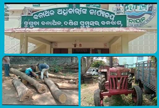 ସାନଖୋଲି ଠାରୁ ଫାସୀ କାଠ ଗଣ୍ଡି ସହ ଟ୍ରାକ୍ଟର ଜବତ