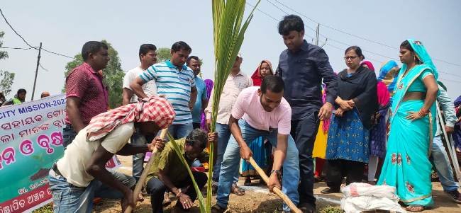 ଗ୍ରିନ୍ ସିଟି ମିଶନ୍ କାର୍ଯ୍ୟକ୍ରମ : କୋଦଳା ଏନଏସି ରେ ବୃକ୍ଷରୋପଣ