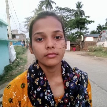 ସ୍ପଷ୍ଟ ଦିବାଲୋକରେ ବ୍ୟାଗ ଝାମ୍ପିନେଲେ