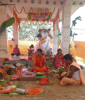 ବଙ୍ଗାରି ଗ୍ରାମରେ ବୃଷଭ ପ୍ରତିଷ୍ଠା ଉତ୍ସବ