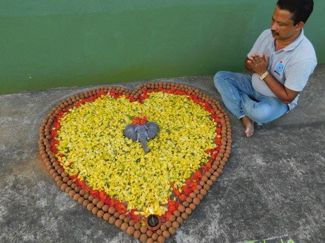 ‘ନନ୍ଦ’ ହାତୀକୁ ସବୁଜ ଶ୍ରଦ୍ଧାଞ୍ଜଳି