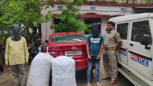 ଗଞ୍ଜେଇ ଯେତେ ଧରିଲେ ସରୁନି ପୋଲିସ ପକ୍ଷରୁ ଚଢାଉ କରିଥିବା ବେଳେ ଅବକାରୀ ବିଭାଗ ନୀରବଦ୍ରଷ୍ଟା ସାଜିଛି 