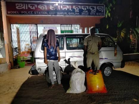 ହୂମର ନିକଟରୁ 100 ଲିଟର ଦେଶୀ ମଦ ସହ ଜଣଙ୍କୁ ଗିରଫ କଲା ପୋଲିସ