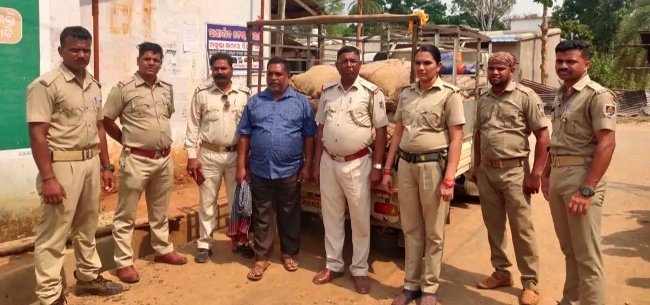 ବେଆଇନ ଭାବେ ଗଛିତ ମହୁଲ ଜବତ : ଜଣେ ଗିରଫ