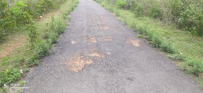 ତିନି ବର୍ଷ ହେଲା ମରାମତି ହେଉନି ରାସ୍ତା ପିଚୁ ଉଠି ମାଟି ଦେଖା ଦେଲାଣି