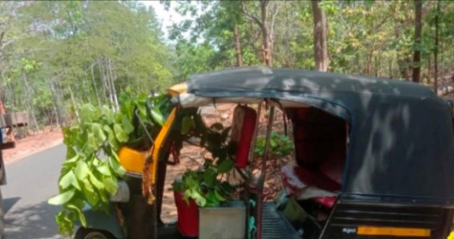 ଫିରିଙ୍ଗିଆରେ ଟ୍ରକ୍- ଅଟୋ ଧକ୍କା : ୭ ଆହତ,  ୩ଗୁରୁତର