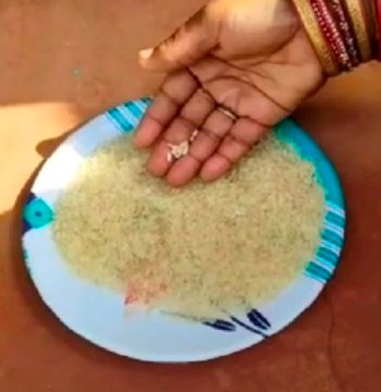 ମଧ୍ୟାହ୍ନ ଭୋଜନରେ ପୋକରା ଚାଉଳ ପରେ ଏବେ ପ୍ଲାଷ୍ଟିକ ଚାଉଳ