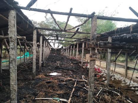 ଜଳିଗଲା କୁକୁଡା ଫାର୍ମ : ୩ ହଜାର କୁକୁଡା ଜୀବନ୍ତ ଦଗ୍ଧ