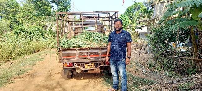 ପ୍ରାଣୀ ଚିକିତ୍ସା ସହିତ ଘାସ ଚାଷ କରୁଛନ୍ତି ପ୍ରାଣୀଧନ ନିରୀକ୍ଷକ