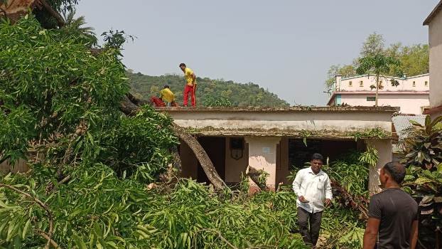 ଗୁମ୍ମାରେ କାଳବୈଶାଖୀର ତାଣ୍ଡବ : ସ୍କୁଲ ଘର ଉପରେ ଗଛ ପଡ଼ିଲା
