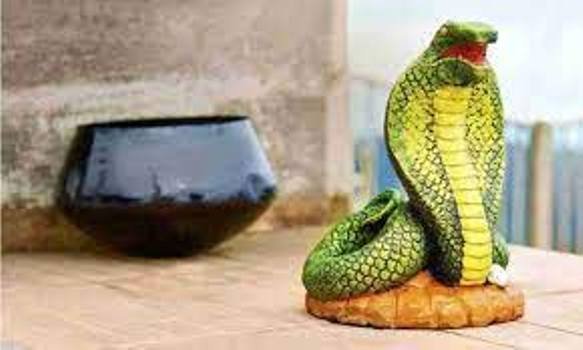 ସାପକାମୁଡାରେ ଦିବାକରଙ୍କ ମୃତ୍ୟୁବରଣ କଲେ