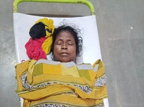 ସର୍ପାଘାତରେ ମହିଳା ମୃତ