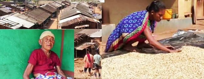 ସ୍ୱତନ୍ତ୍ର ଉପସ୍ଥାପନା-ତାରିଣୀ ପ୍ରସାଦ ପଣ୍ଡା : ବିକାଶ ଅପେକ୍ଷାରେ ମାନ୍ଦ୍ରାବାଜୁ ଗାଁ ?