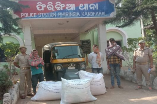 ଅଟୋ ସହ  ଗଞ୍ଜେଇ ଜବତ, ୩ ଗିରଫ