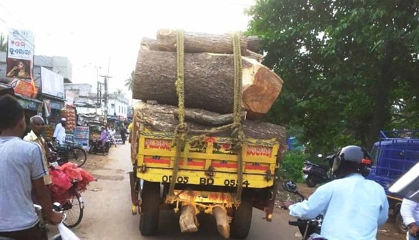 ବିପଦ ଜନକ ଭାବେ ଟ୍ରାକ୍ଟରରେ ବୁହା ହେଉଛି କାଠଗଡ