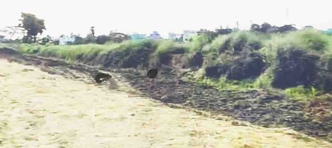 କେନାଲ ବନ୍ଧ ଖୋଳି ବ୍ୟକ୍ତିଗତ ଜମିରେ ମାଟି ପକାକୁ ନେଇ ଚାଷୀଙ୍କ ବିରୋଧ