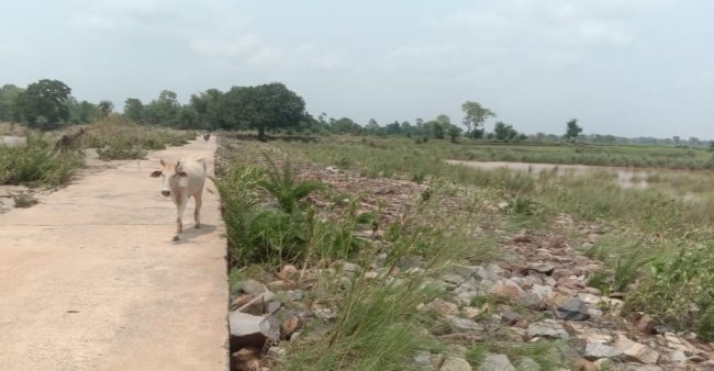 ଦ୍ୱାରଦେଶରେ ମୌସୁମୀ : ମୁକୁଳା କଣ୍ଟିଘାଇକୁ ନେଇ ଚିନ୍ତାରେ ତିନିଗୋଟି ବ୍ଲକବାସୀ