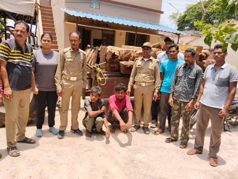 ଚୋରା କାଠ ଚାଲାଣ ବେଳେ ଘାଟିରେ ଦୁର୍ଘଟଣା