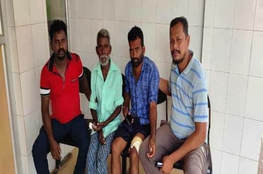 ପାଗଳ କୁକୁର କାମୁଡ଼ାରେ ୪ ଆହତ : ଭୟର ଲହରୀ 