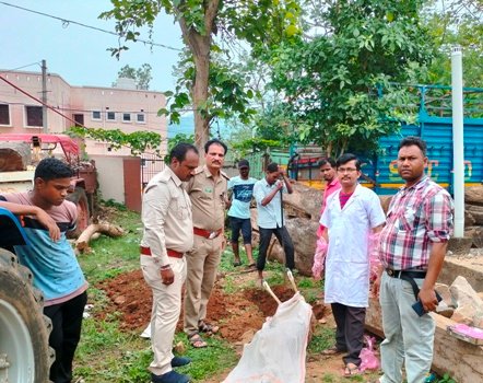 ମୋହନା ହରିଜନ ସାହିର ଜଣେ ବ୍ୟକ୍ତିଙ୍କ ବାରିପଟୁ କ୍ଷତାକ୍ତ ମୃତ ହରିଣକୁ ଉଦ୍ଧାର କଲା ବନ ବିଭାଗ