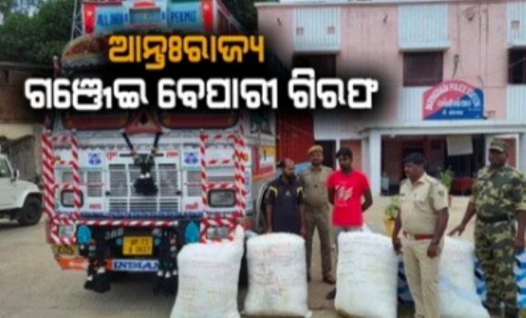 ଆନ୍ତଃରାଜ୍ୟ ଗଞ୍ଜେଇ ଚାଲାଣ ବେଳେ ଗଞ୍ଜେଇ ସହ  ଟ୍ରକ ଜବତ : ୨ ଗିରଫ 