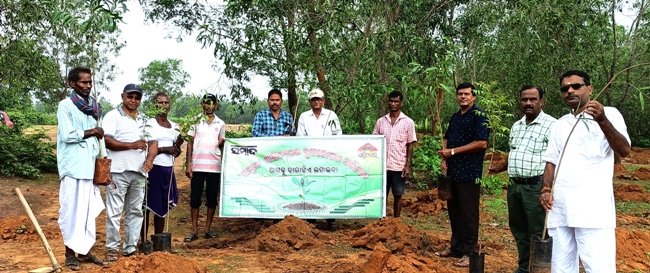 ହାଟଡିହି ସମ୍ବାଦ ସାହିତ୍ୟ ଘର ପକ୍ଷରୁ ଚାରା ରୋପଣ