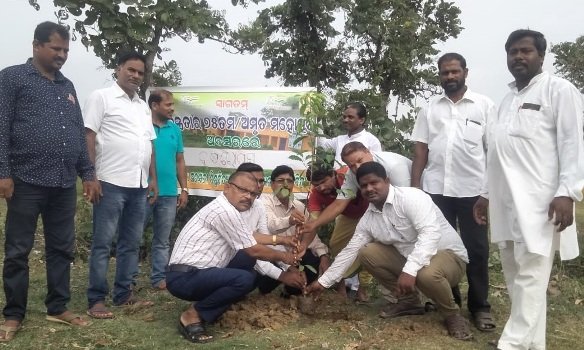 ମତାବାଜ ଶିଶୁମନ୍ଦିରରେ ବିଶ୍ୱପରିବେଶ ଦିବସ ପାଳିତ