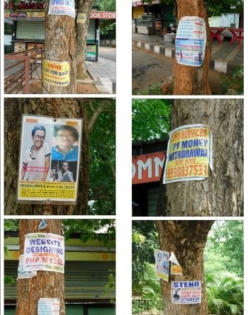 ଜୀଅଁନ୍ତା ଗଛରେ କଣ୍ଟା ପିଟି ଝୁଲାଯାଉଛି ବିଜ୍ଞାପନ ଫଳକ : ରାଜଧାନୀରେ ଗଛକୁ ଅକାଳ ମୃତ୍ୟୁଦଣ୍ଡ