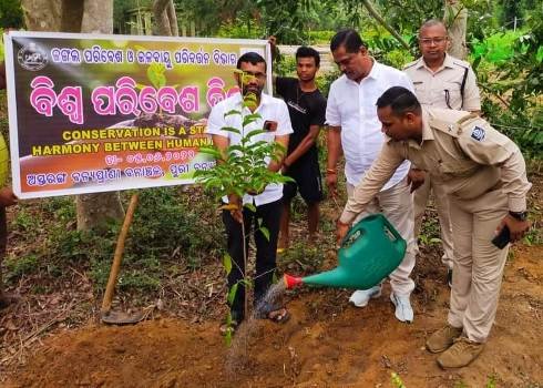 ବିଶ୍ୱ ପରିବେଶ ଦିବସ ରେ ବୃକ୍ଷ ରୋପଣ କାର୍ଯ୍ୟକ୍ରମ