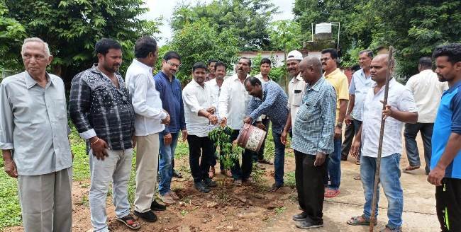 ବିଜେଡି ଛାତ୍ର ଜନତା ଦଳ ତରଫରୁ ବୃକ୍ଷ ରୋପଣ କାର୍ଯ୍ୟକ୍ରମ 