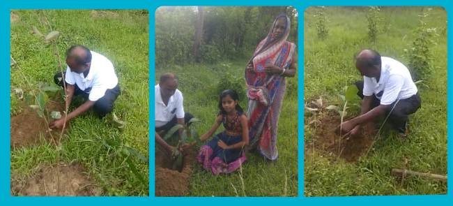 ଗୋପାଳ ପାତ୍ରଙ୍କ ପେଶା ଶିକ୍ଷକତା ଓ ନିଶା ବୃକ୍ଷ ରୋପଣ