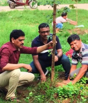 ସାତଦିନରେ ସାତଶହ ବୃକ୍ଷ ଲଗାଇଲା ଏବିପି