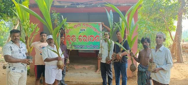 ରଥଯାତ୍ରା ରେ ବୃକ୍ଷରୋପଣ କାର୍ଯ୍ୟକ୍ରମ