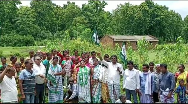 ଯଶିପୁର ବିଜେଡି ର ବୃକ୍ଷରୋପଣ ଅନୁଷ୍ଠିତ