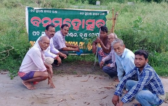 ଗ୍ରୀନ ଡେଭଲପମେଣ୍ଟ ଫାଉଣ୍ଡେସନ ପକ୍ଷରୁ ବନମହୋତ୍ସବ ଜଗନ୍ନାଥପୁରରେ ପାଳିତ