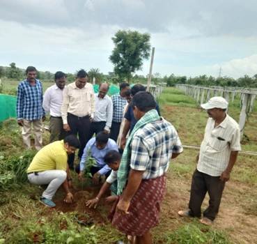 ଋଷିକୂଲ୍ୟା ରୟତ ମହାସଭା ପକ୍ଷରୁ ବୃକ୍ଷ ରୋପଣ ଓ ଚାରା ବଣ୍ଟନ କାର୍ଯ୍ୟକ୍ରମ