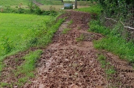 କାଦୁଅ ପଚପଚ ସାହି ରାସ୍ତା