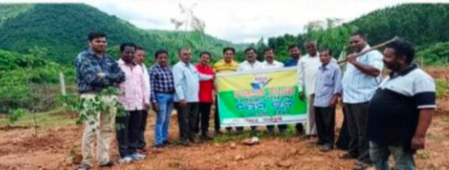 ବ୍ଲକ ପ୍ରେସ କ୍ଲବ ତରଫରୁ ବୃକ୍ଷରୋପଣ କାର୍ଯ୍ୟକ୍ରମ