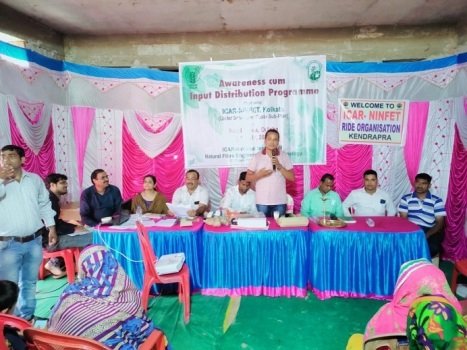 କେନ୍ଦ୍ରାପଡାରେ ଏସଏଚଜି ନିର୍ମିତ ଝୋଟର ରାକ୍ଷୀ ମିଳିବ