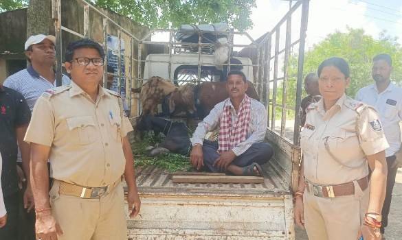 ନାଉଗାଁରୁ ଚୋରି ଛେଳି ଭୁବନେଶ୍ୱର ପଟିଆରୁ ଉଦ୍ଧାର