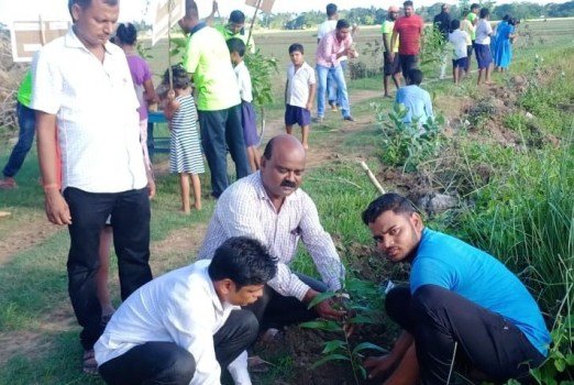 ମା’କୁତାମଚଣ୍ଡୀ ହେଲ୍ପ କ୍ଲବ ପକ୍ଷରୁ ବନ ମହୋତ୍ସବ