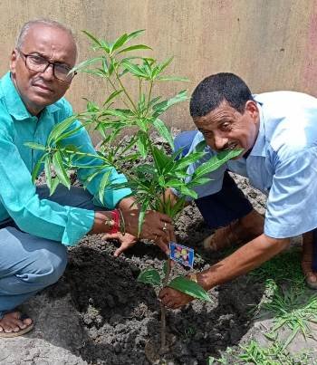 ଅବସରପ୍ରାପ୍ତ ରେଳ କର୍ମଚାରୀ ସଂଘ ପକ୍ଷରୁ ବୃକ୍ଷରୋପଣ