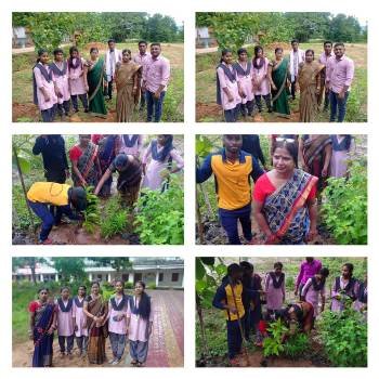 ସହିଦ୍ ଭଗତ୍ ସିଂ ଡ଼ିଗ୍ରୀ ମହାବିଦ୍ୟାଳୟରେ ପାଳିତ ବନମହୋତ୍ସବ