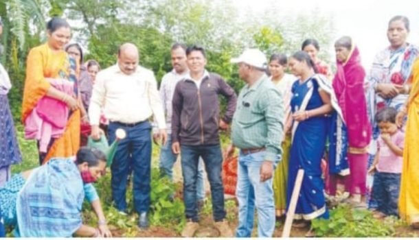ବ୍ଲକ କାର୍ଯ୍ୟାଳୟ ଓ ବନବିଭାଗ ତରଫରୁ ବୃକ୍ଷରୋପଣ